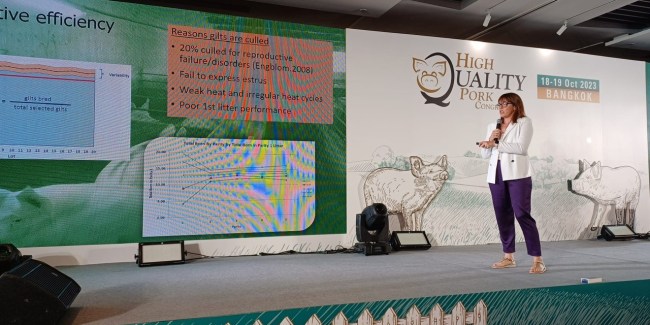 Fotografía Congreso High Quality Pork